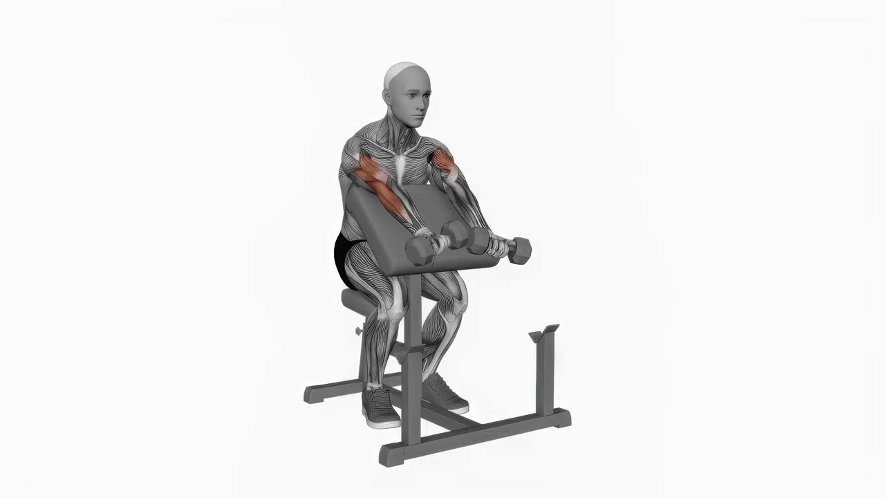 Zottman preachercurl med hantel - startposition