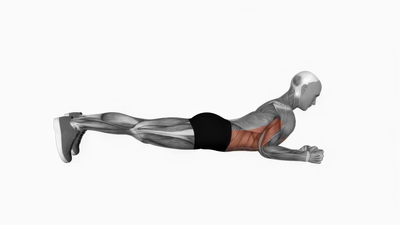 Planka med armbågshävning - startposition