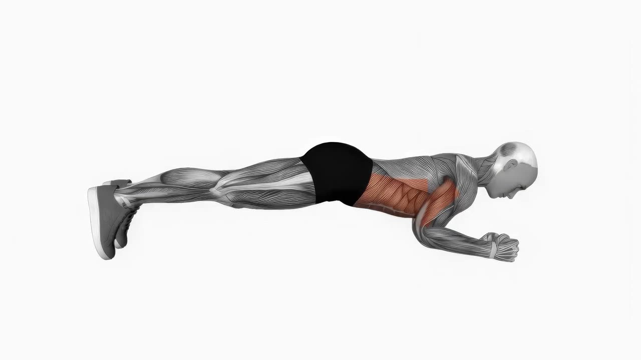 Dynamisk planka med armbågar upp och ner - startposition