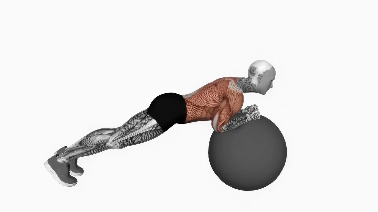 Bålsåg med träningsboll - startposition