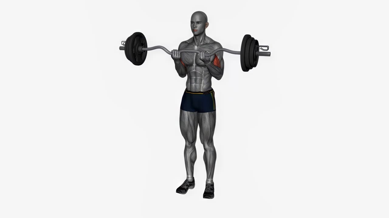Curl med EZ-stång, smalt grepp - slutposition