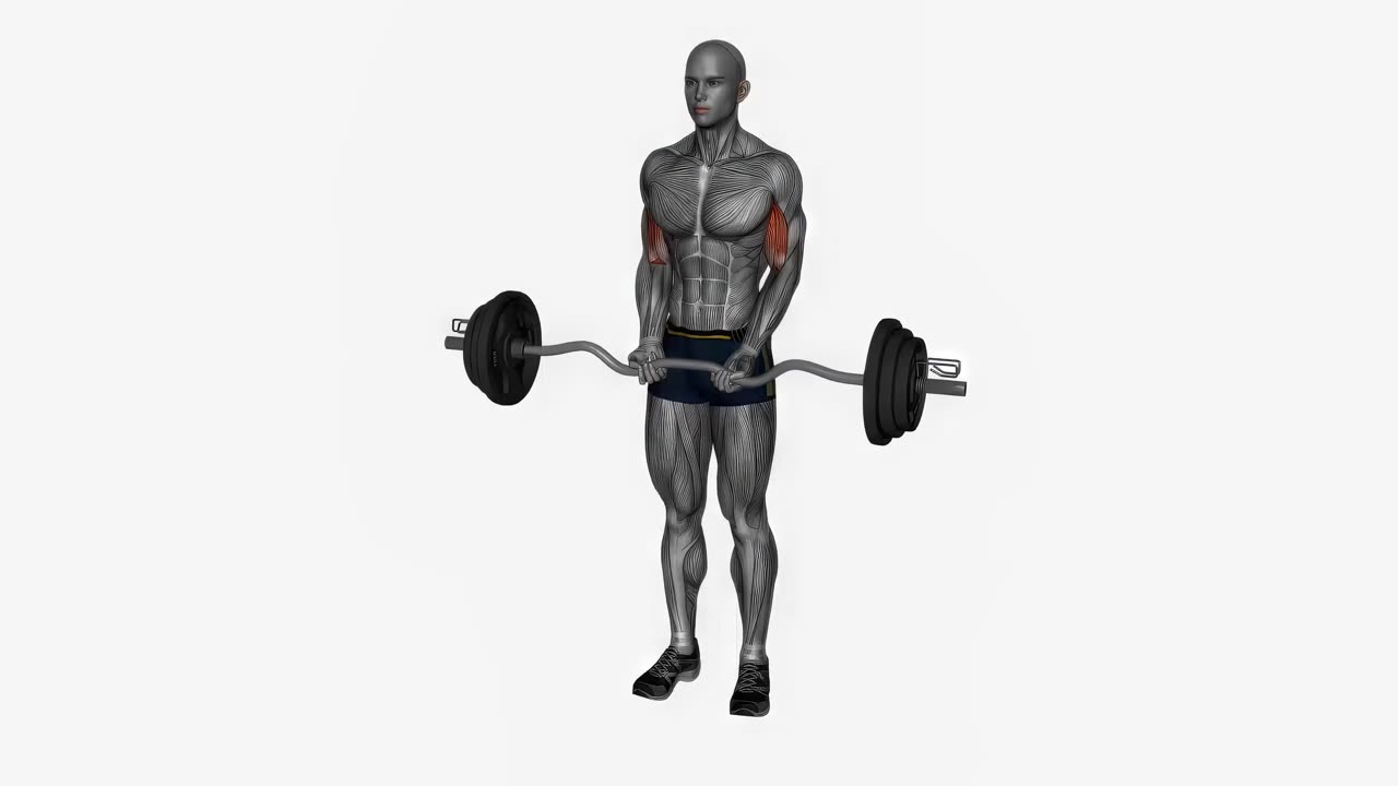 Curl med EZ-stång, smalt grepp - startposition