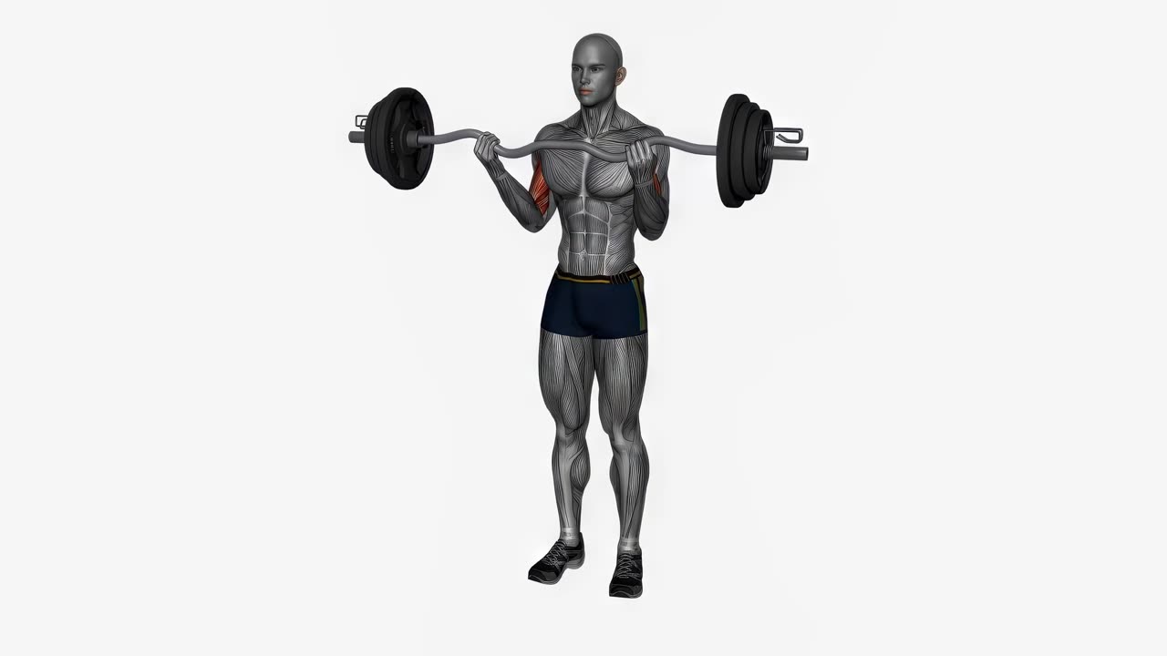 Biceps curl med EZ-stång, normalgrepp - slutposition