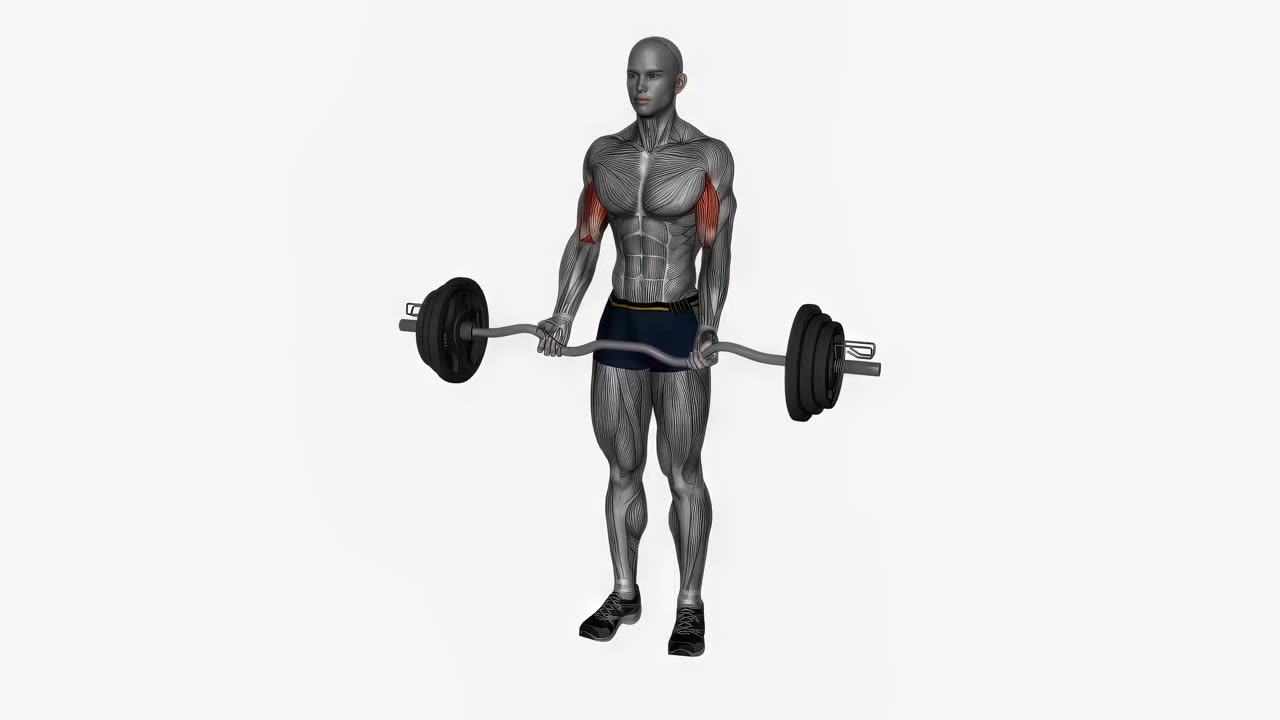 Biceps curl med EZ-stång, normalgrepp - startposition