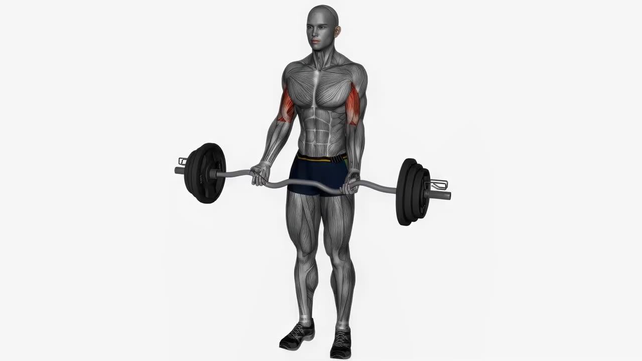 Bredhands-curl med EZ-stång - startposition