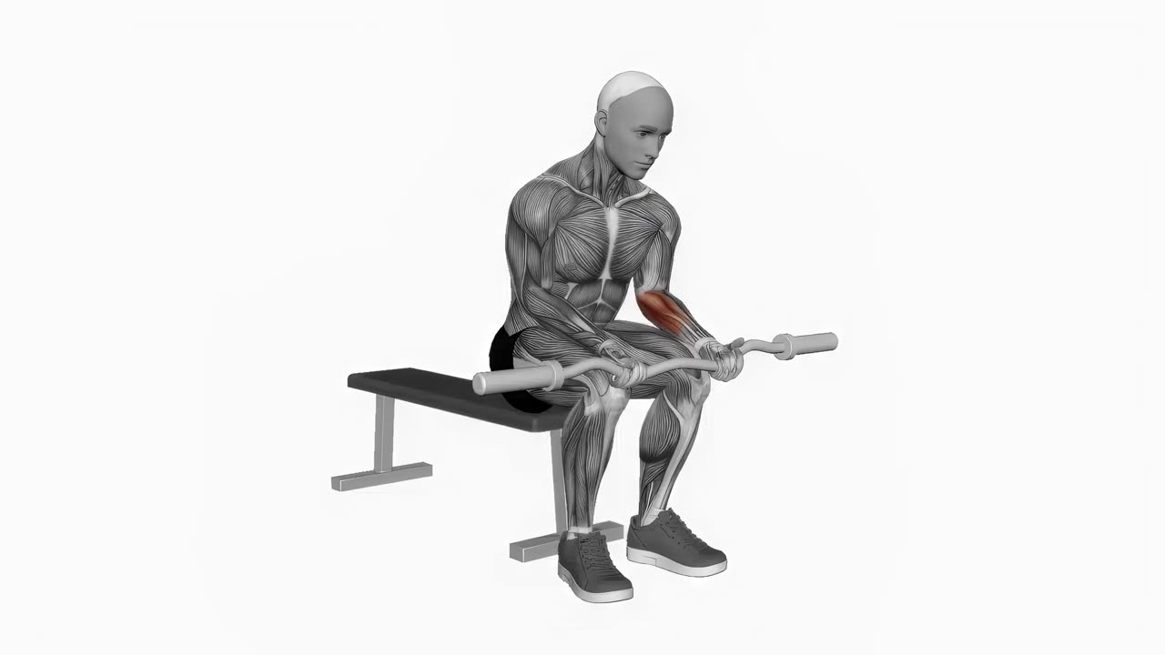 Sittande handledscurl med EZ-stång - startposition