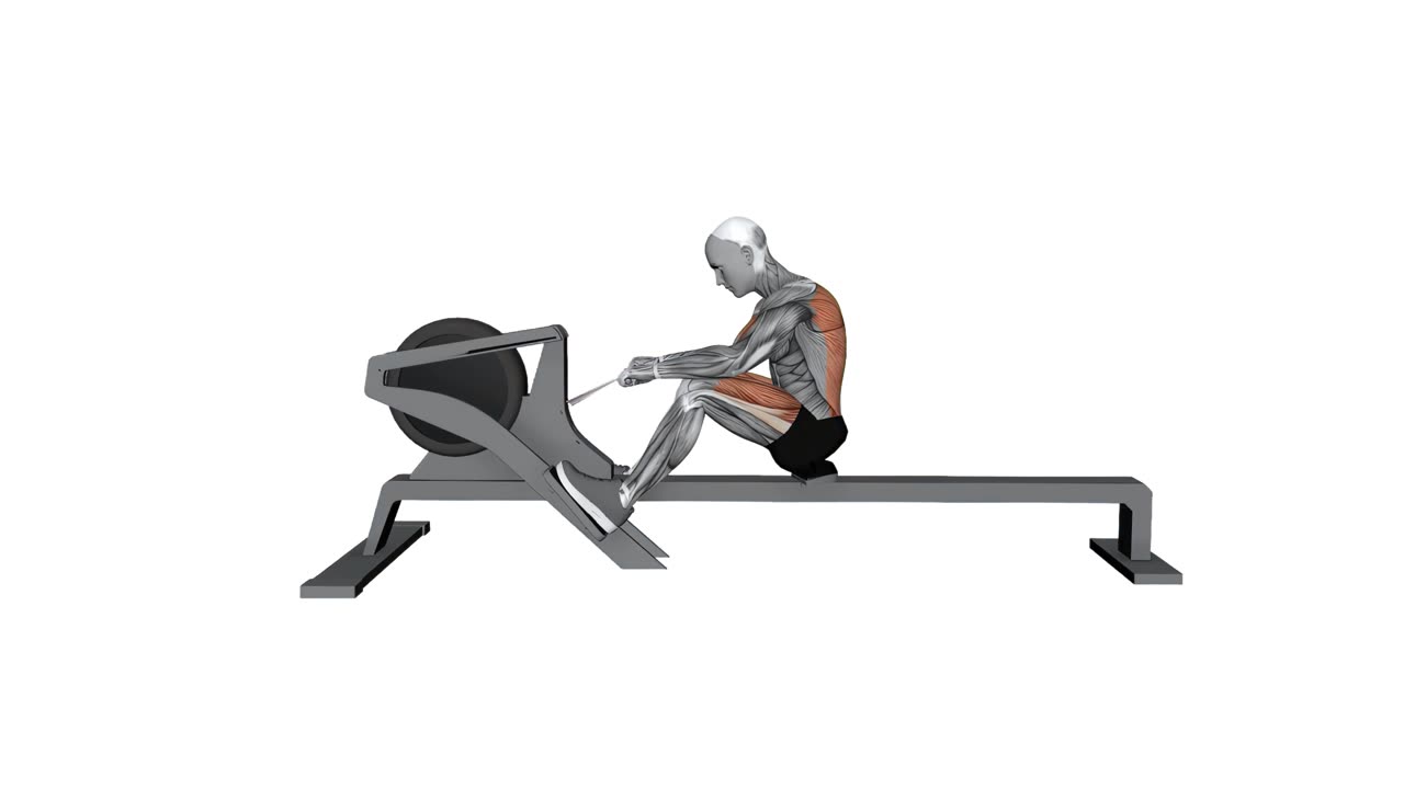 Roddmaskin, sprintrodd - startposition