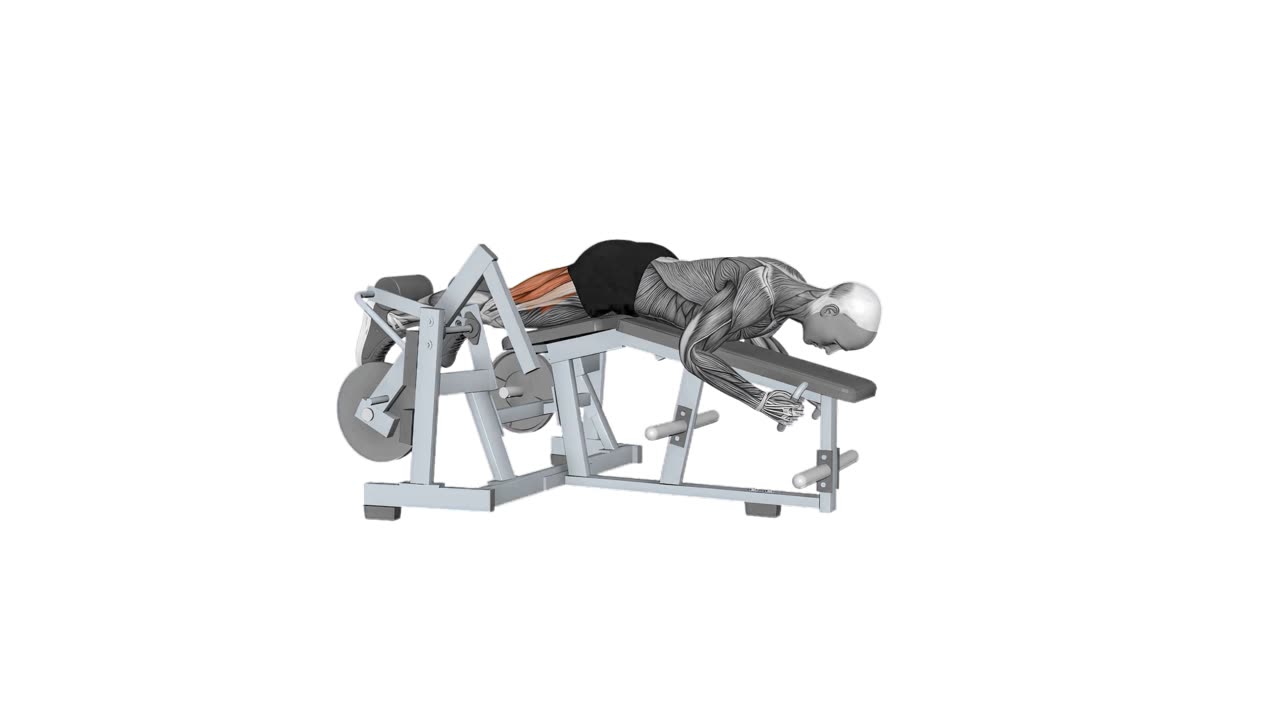 Enarms bencurl i Hammer Strength maskin - startposition