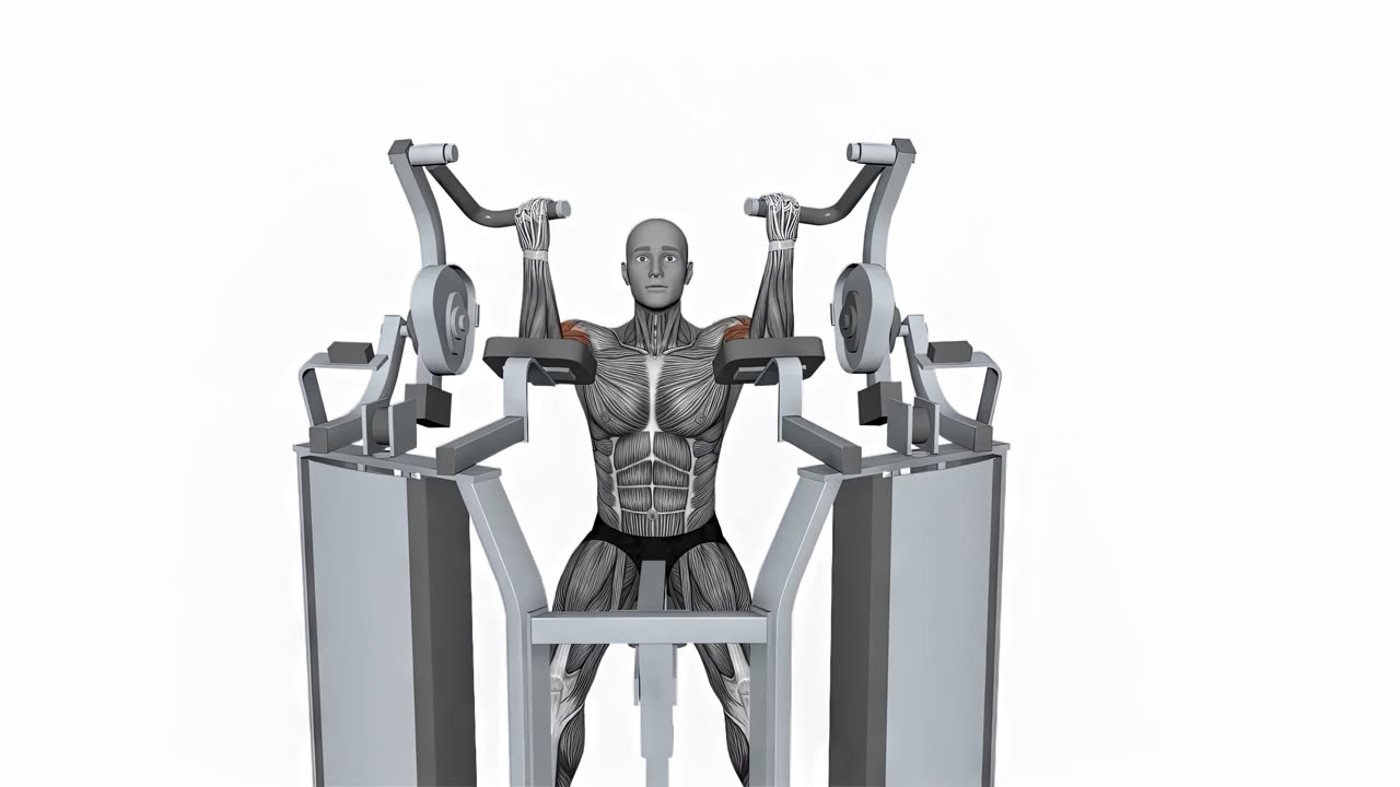 Bilateral bicepscurl i Hammer Strength-maskin - slutposition
