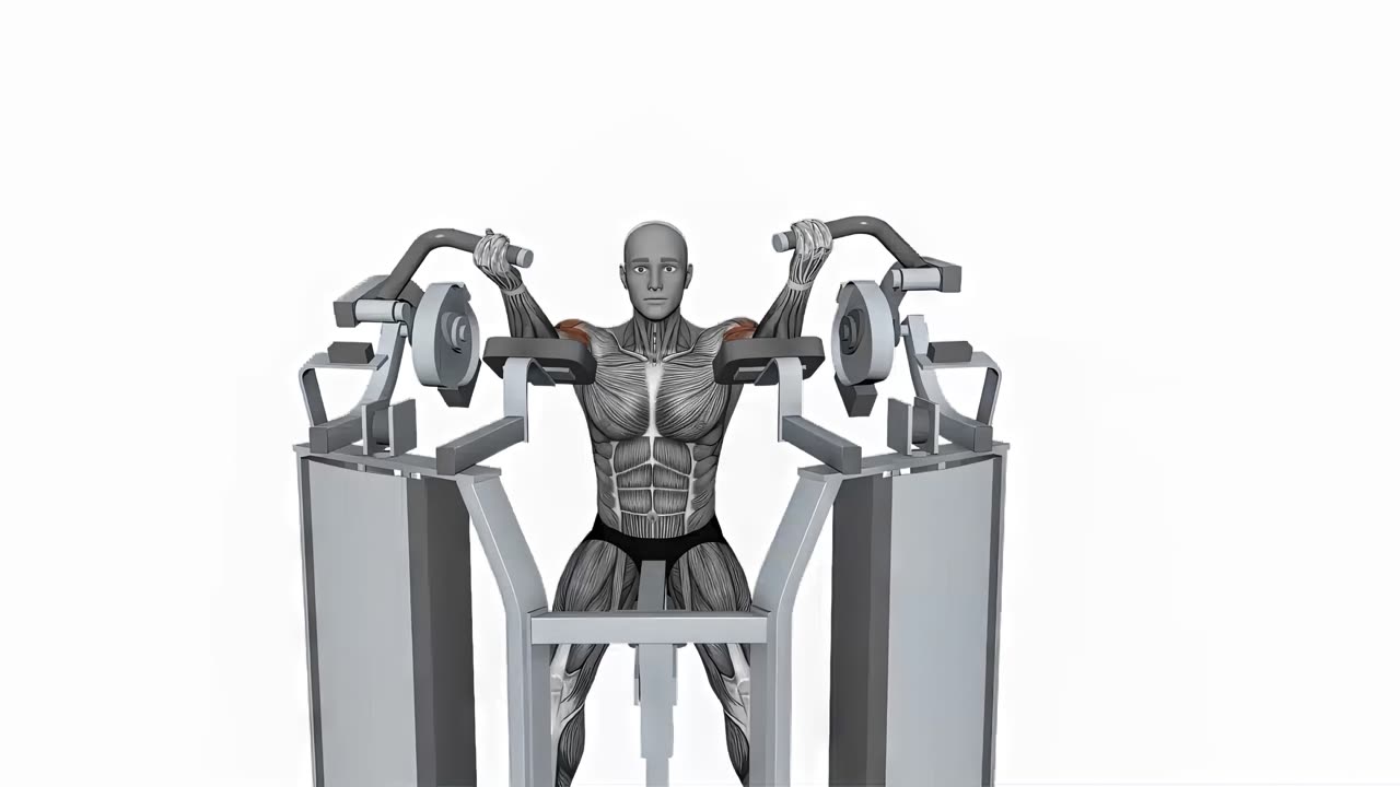 Bilateral bicepscurl i Hammer Strength-maskin - startposition