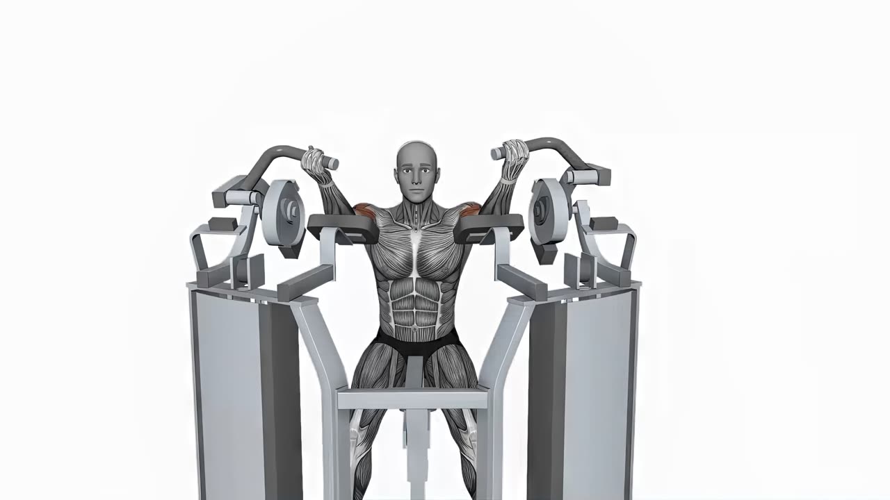 Enarms curl i Hammer Strength bicepscurl - startposition