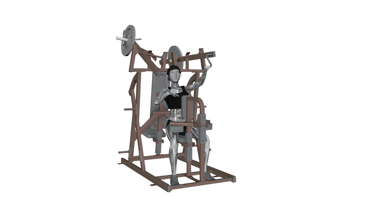 Alternerade Hammer Strength high row - startposition