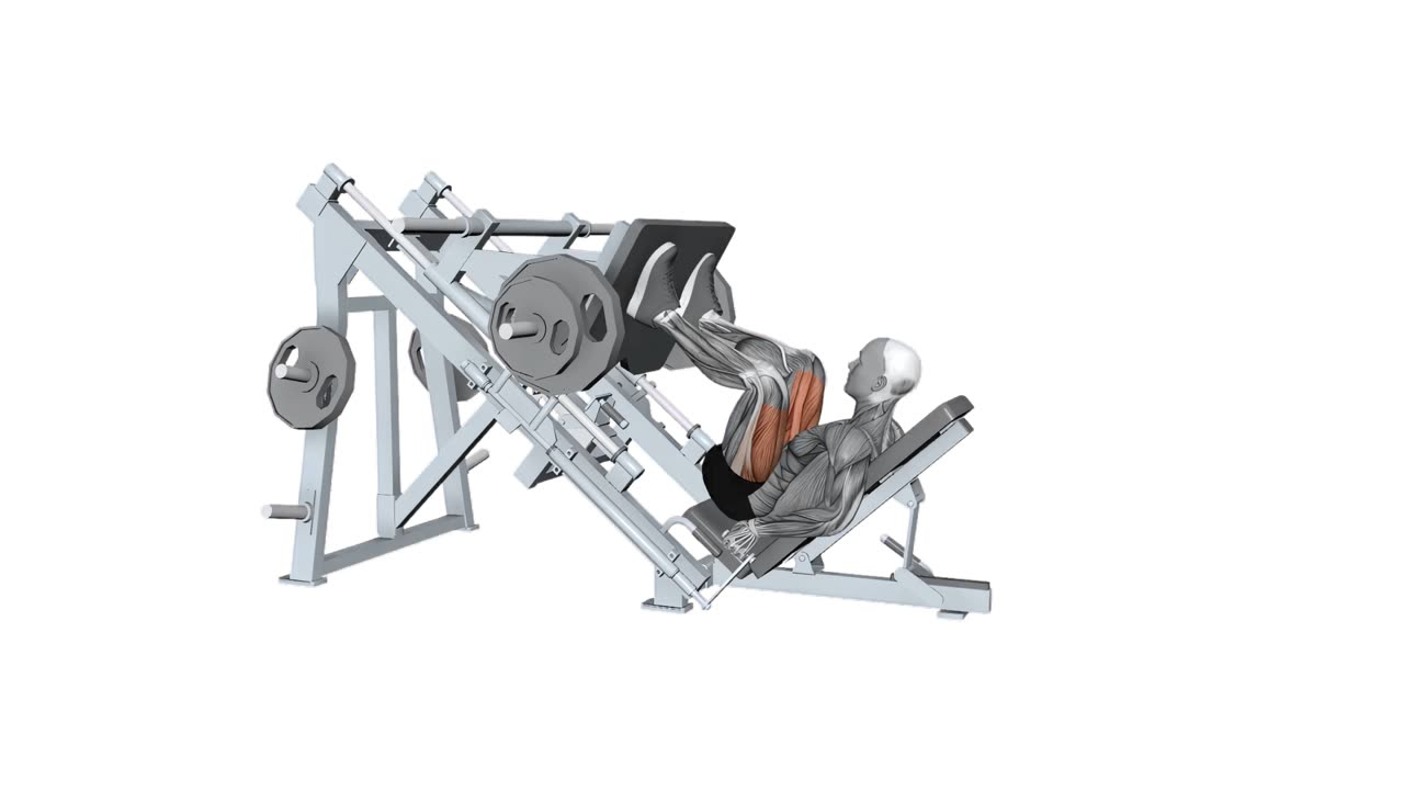 Benpress med normal ställning - startposition