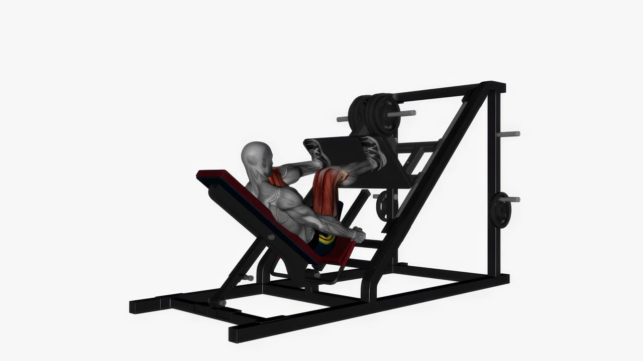 Benpress brett högt fotläge bakvy - startposition