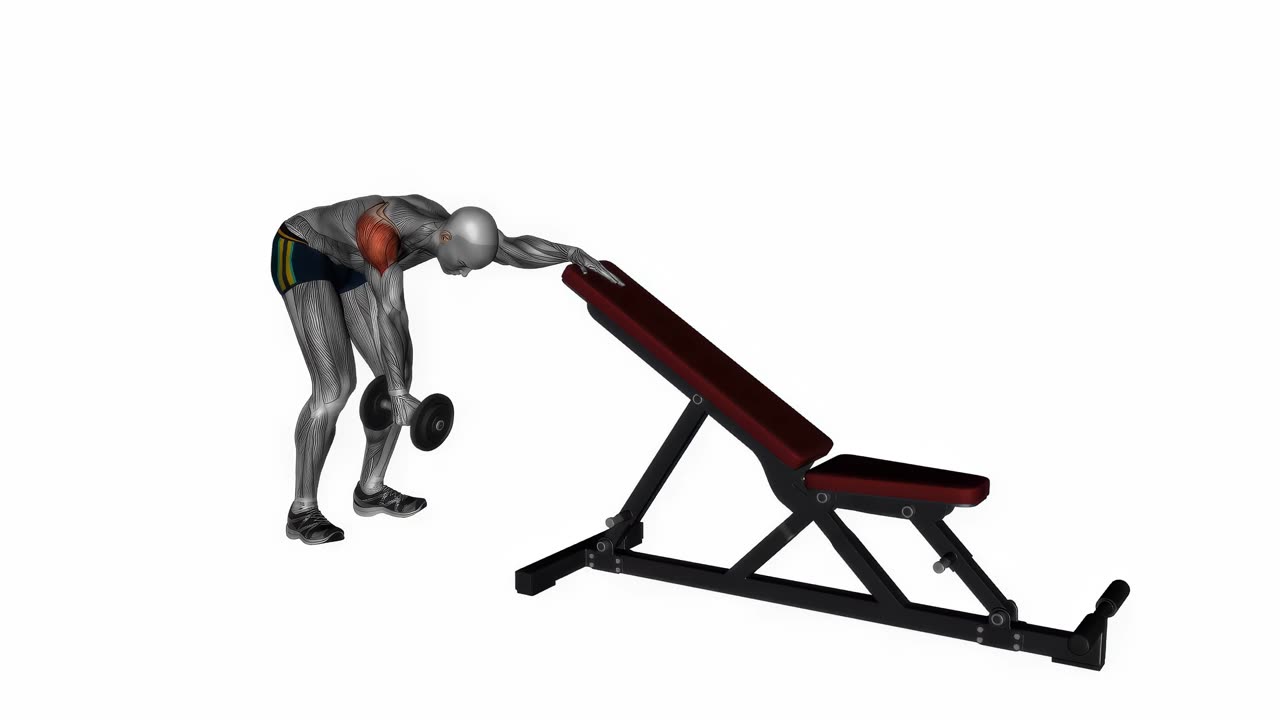 Enarms omvända hantelflyes - startposition