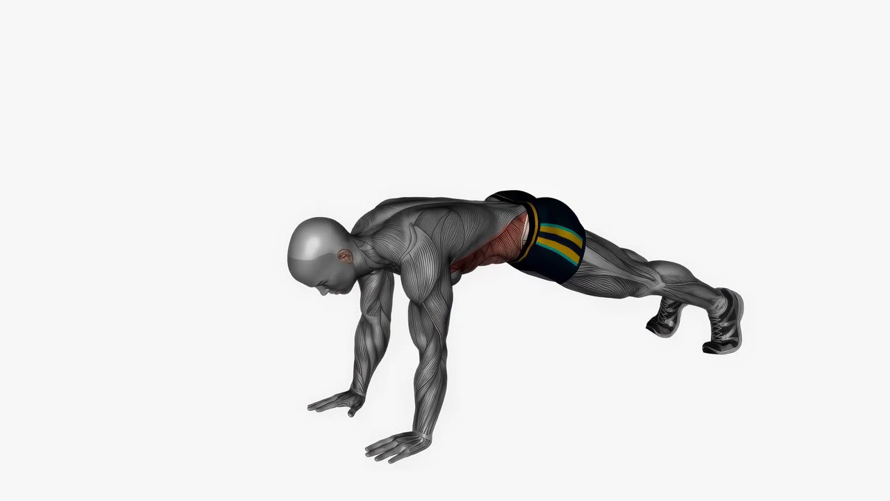 Plankalunges - startposition