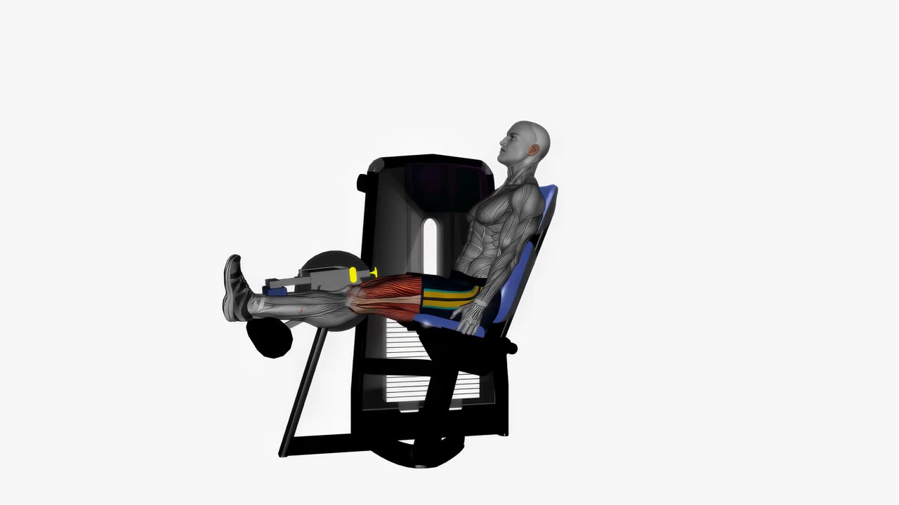 Sittande lårcurl i maskin - startposition