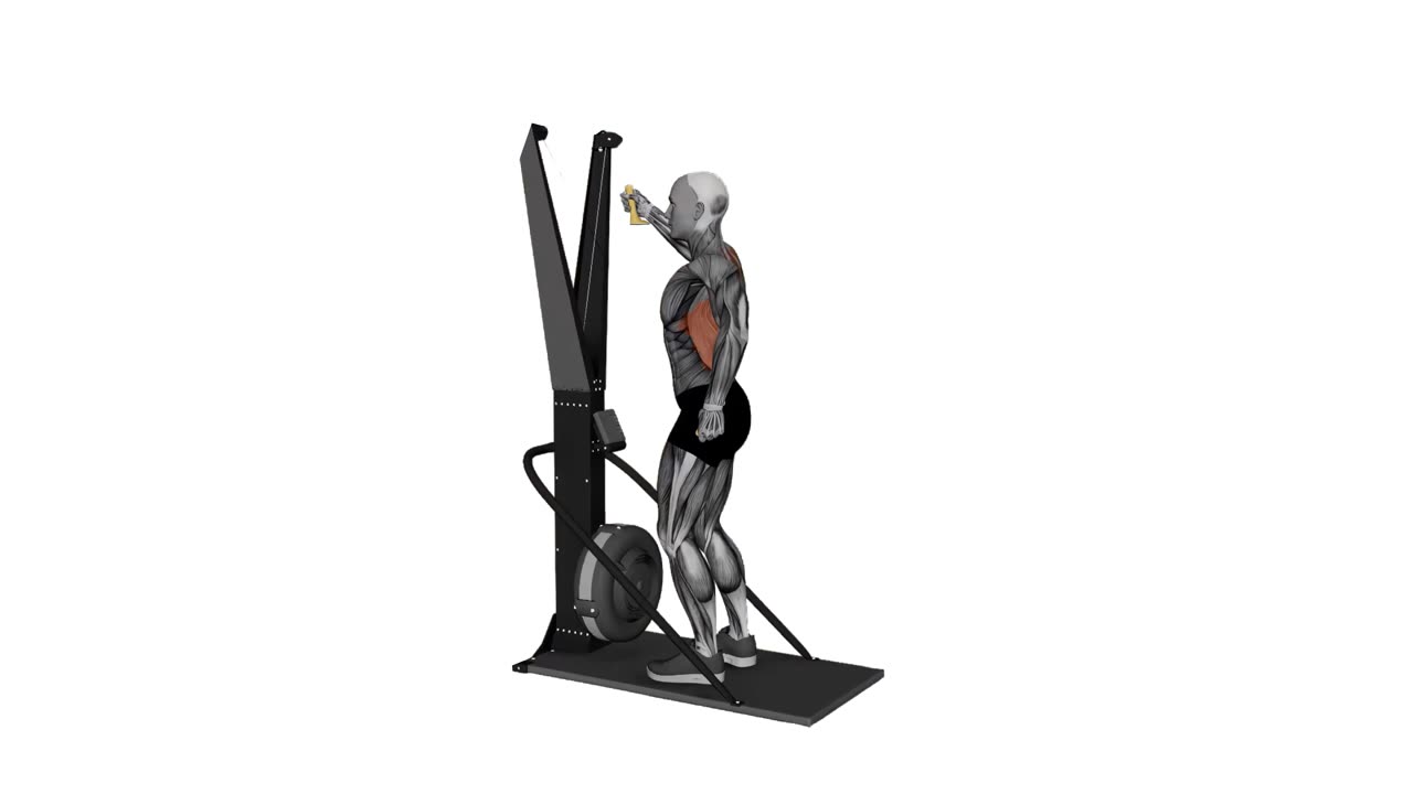 Skierg, alternerande armtag, längdskidstil - startposition