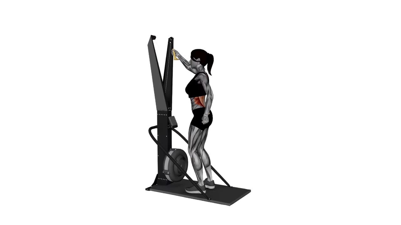 Skierg, alternerande armtag - startposition