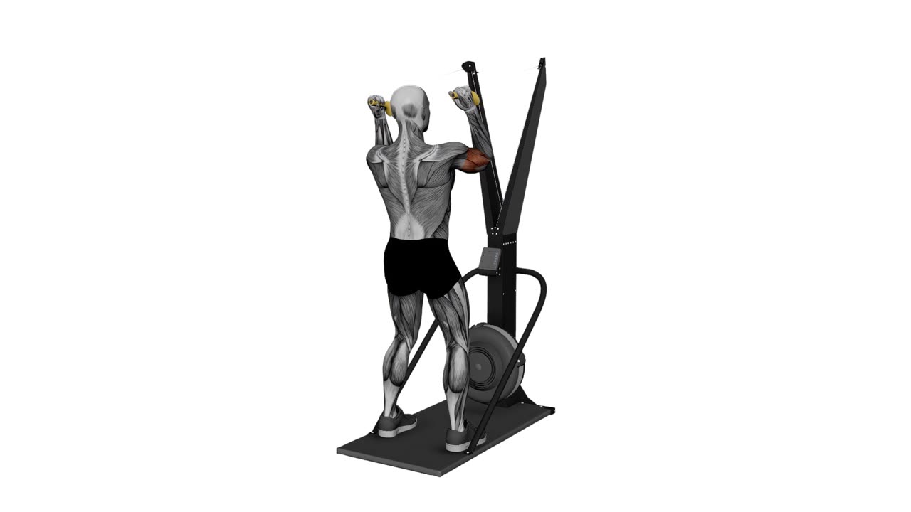 Skierg ansiktscurl med biceps - slutposition