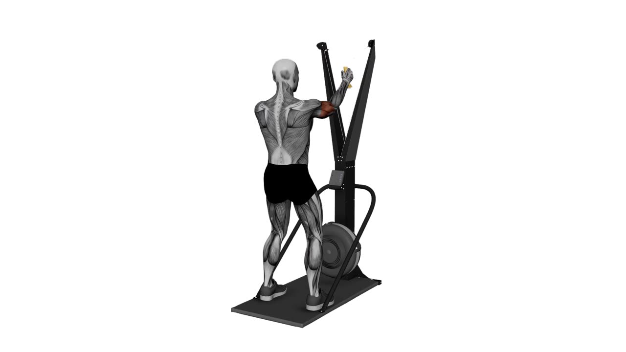 Skierg ansiktscurl med biceps - startposition