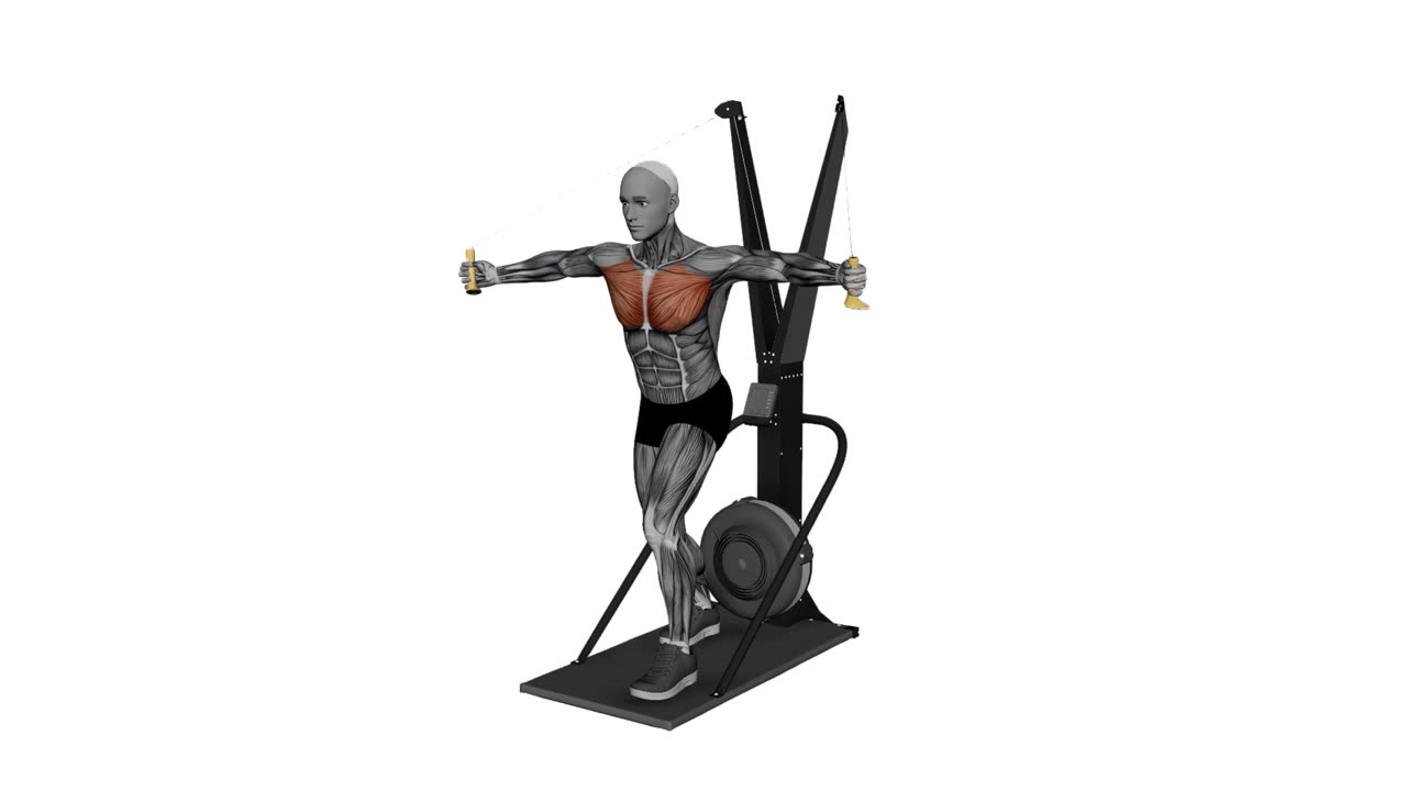 Skierg flyes - startposition