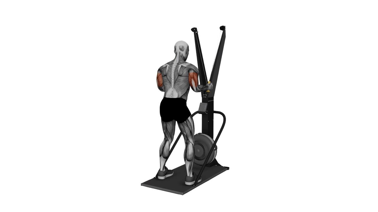 Skierg tricepspress, skidåkningsrörelse - startposition