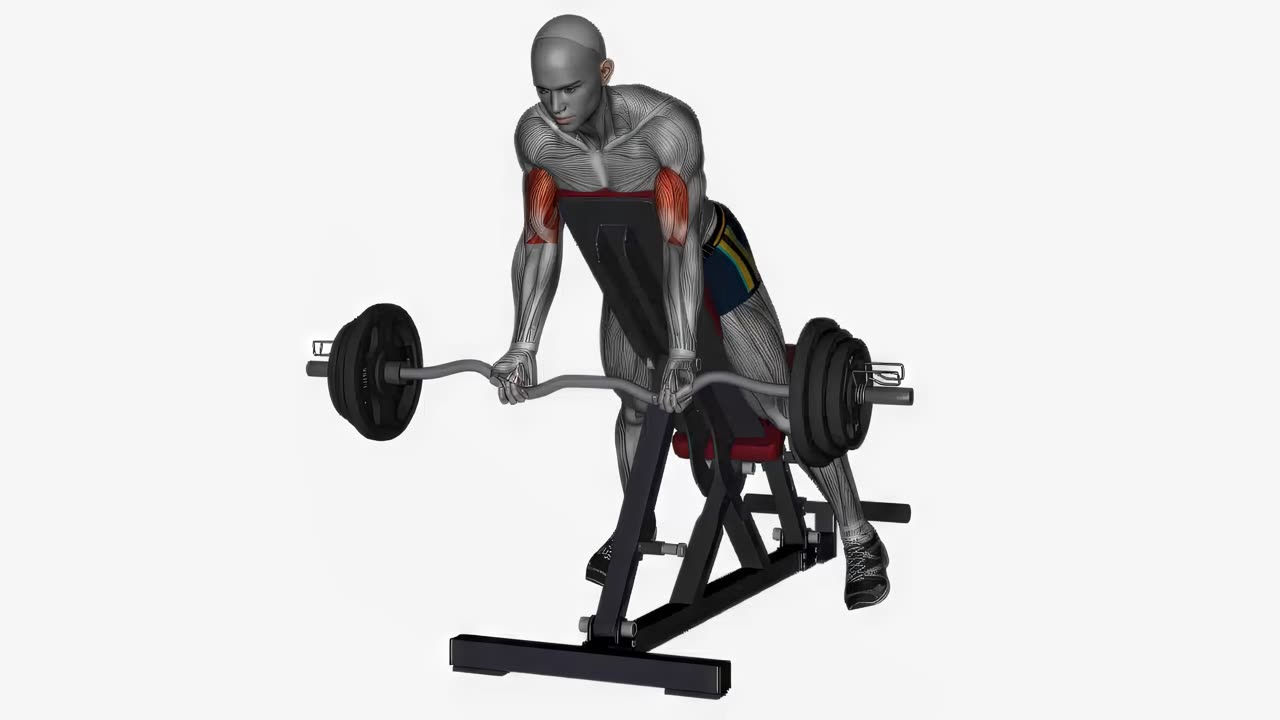 Spider curl med EZ-stång - startposition