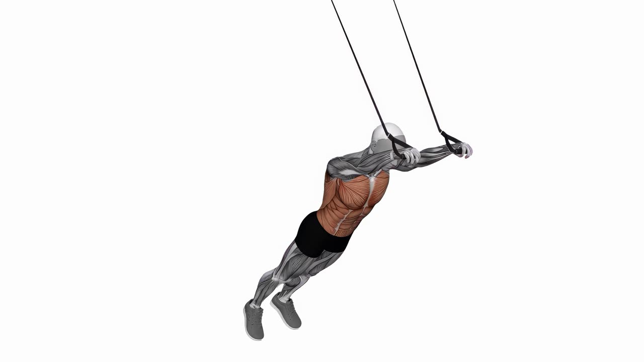 Mage fallout med TRX - slutposition