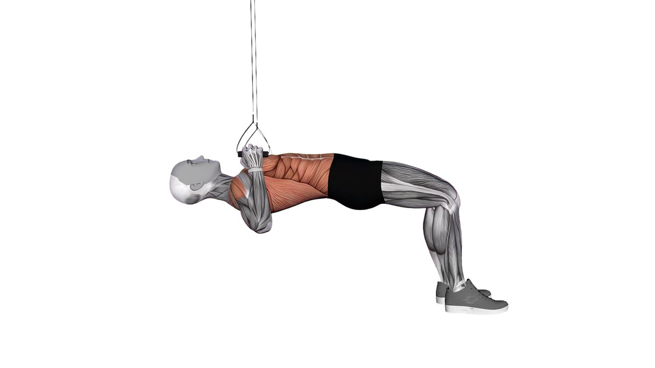 TRX inverterad rodd med böjda knän och handtag - slutposition