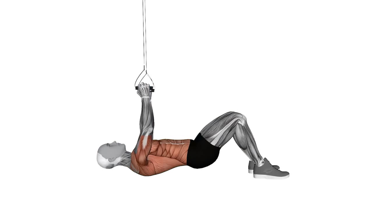TRX inverterad rodd med böjda knän och handtag - startposition