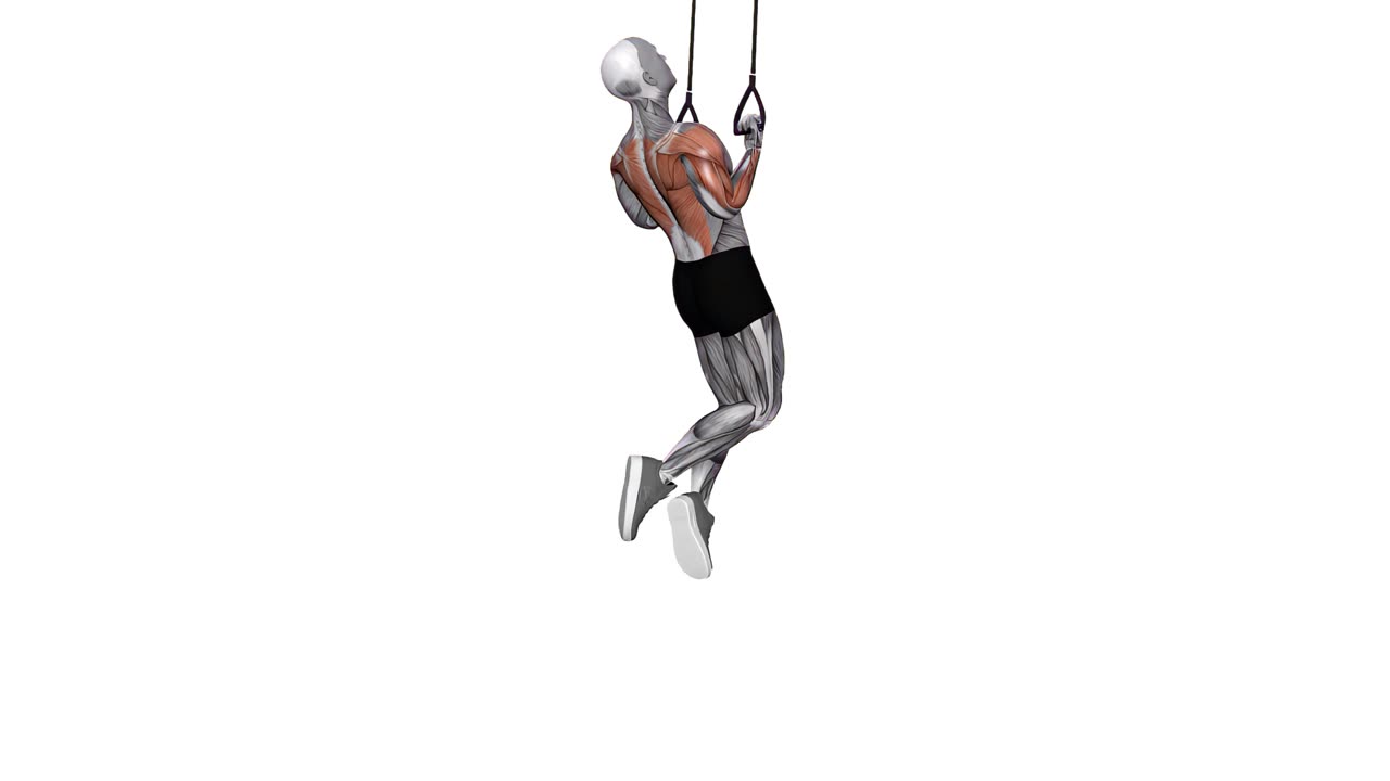 Chins med underhandsgrepp i suspension trainer - slutposition