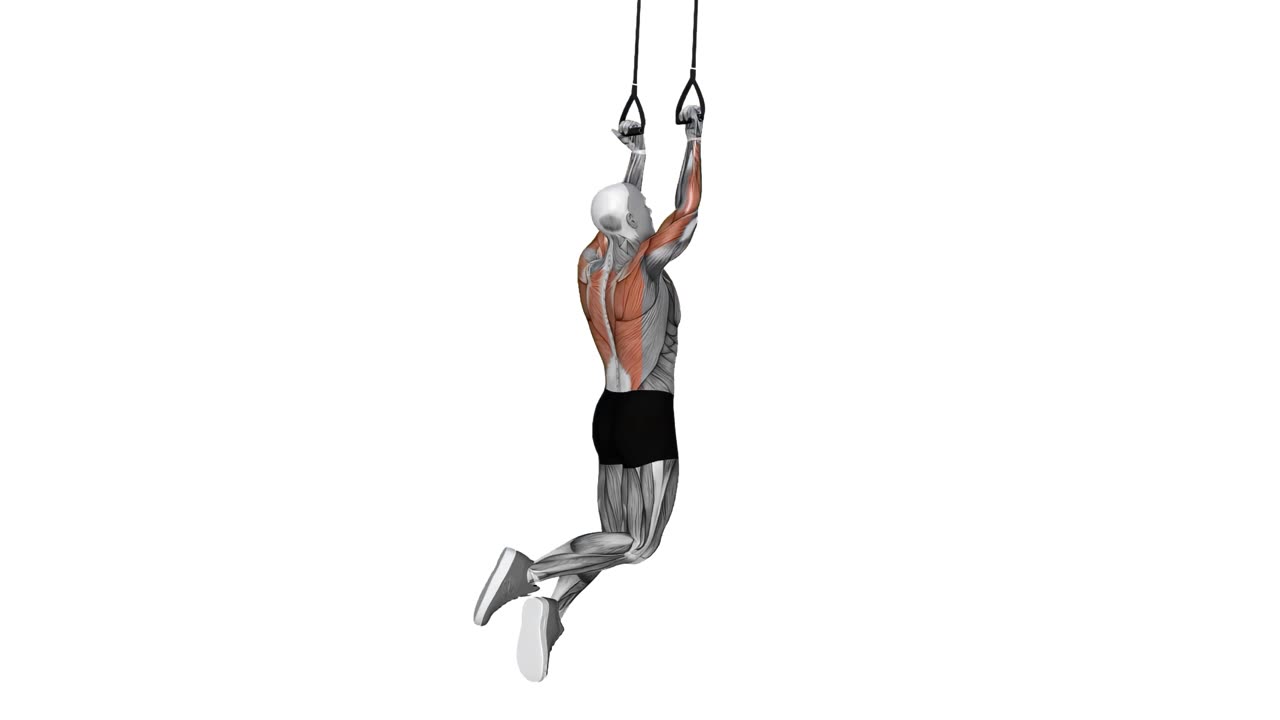 Chins med underhandsgrepp i suspension trainer - startposition