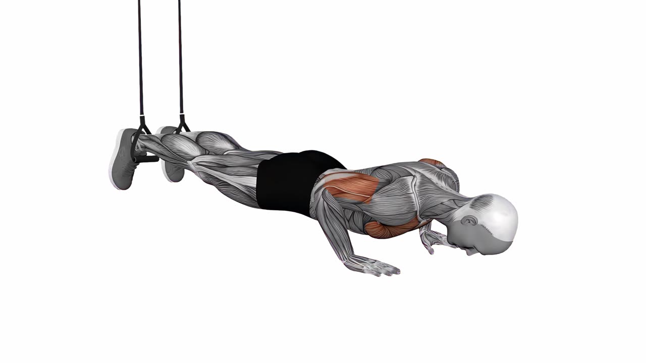 Nedåtlutande armhävning med TRX - slutposition
