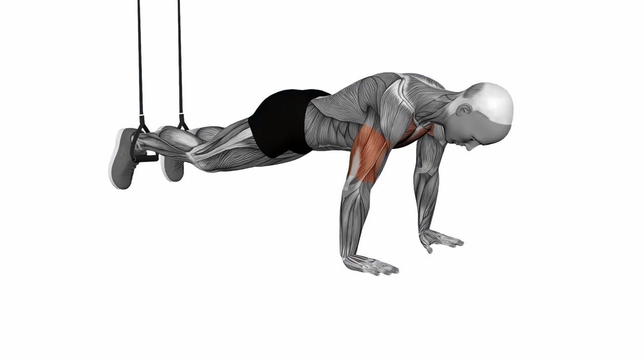 Nedåtlutande armhävning med TRX - startposition