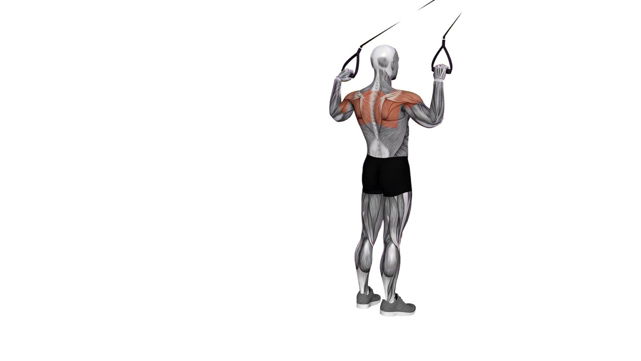 Facepull med suspension trainer - slutposition