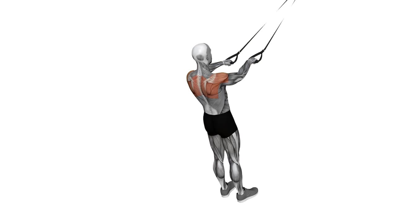 Facepull med suspension trainer - startposition