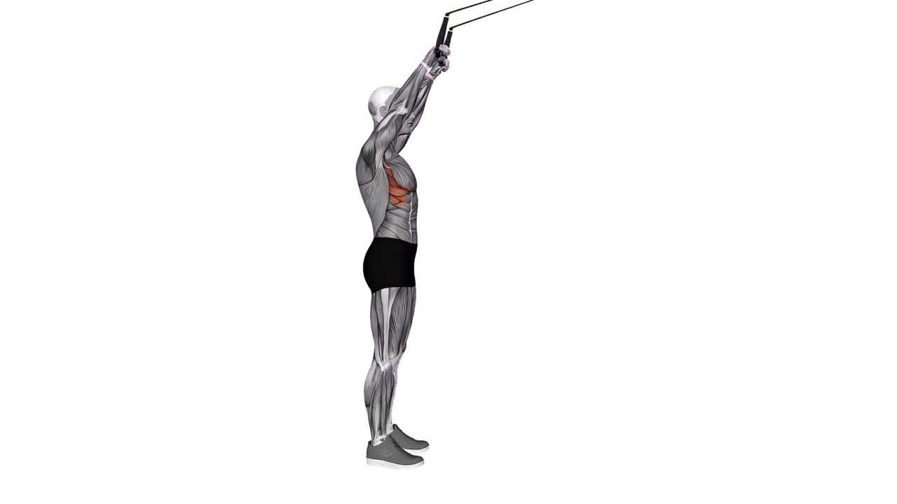Framåtlyft med TRX-handtag - slutposition
