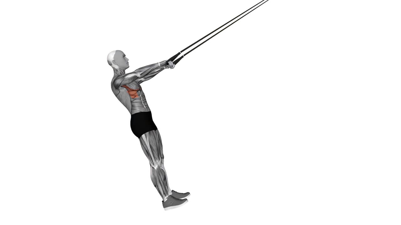 Framåtlyft med TRX-handtag - startposition