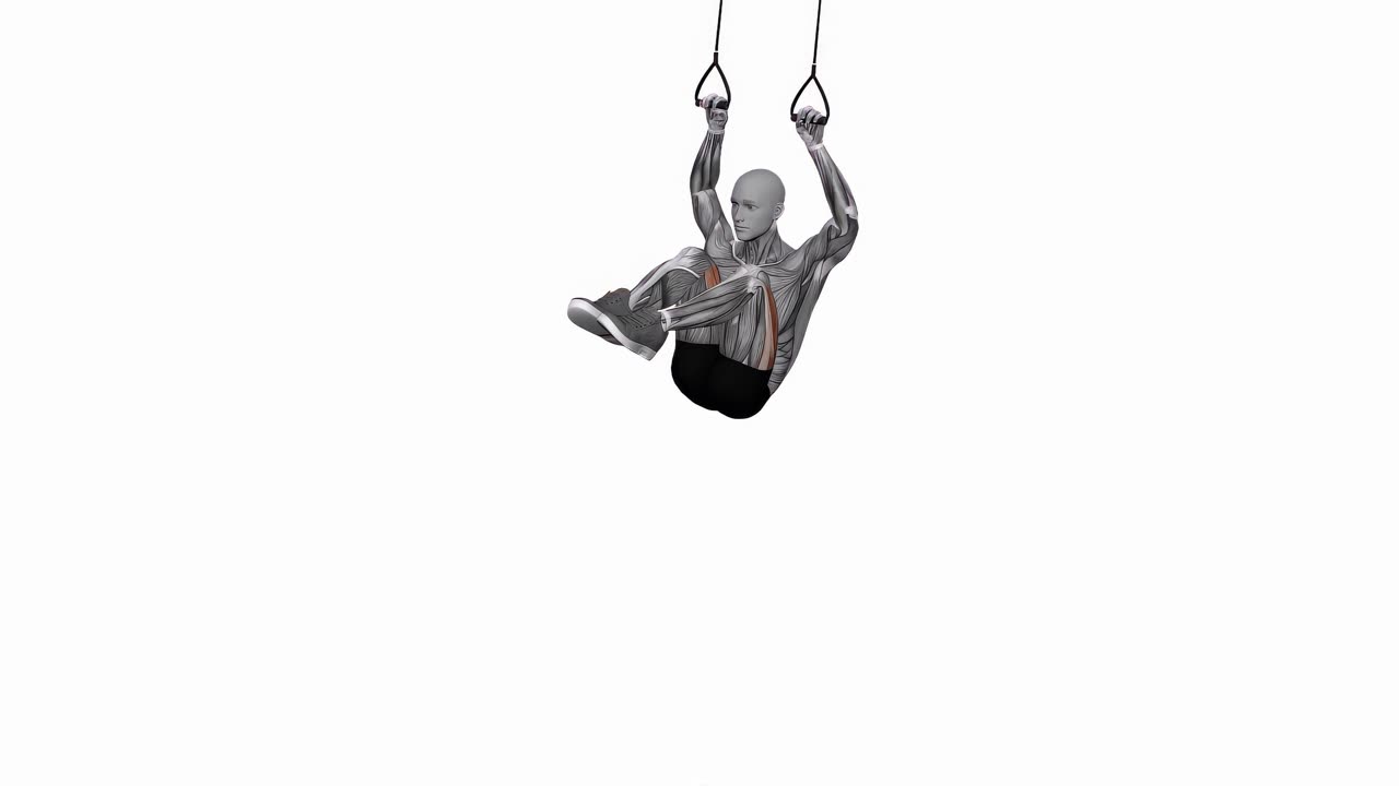 Knälyft till armbågar i TRX - slutposition