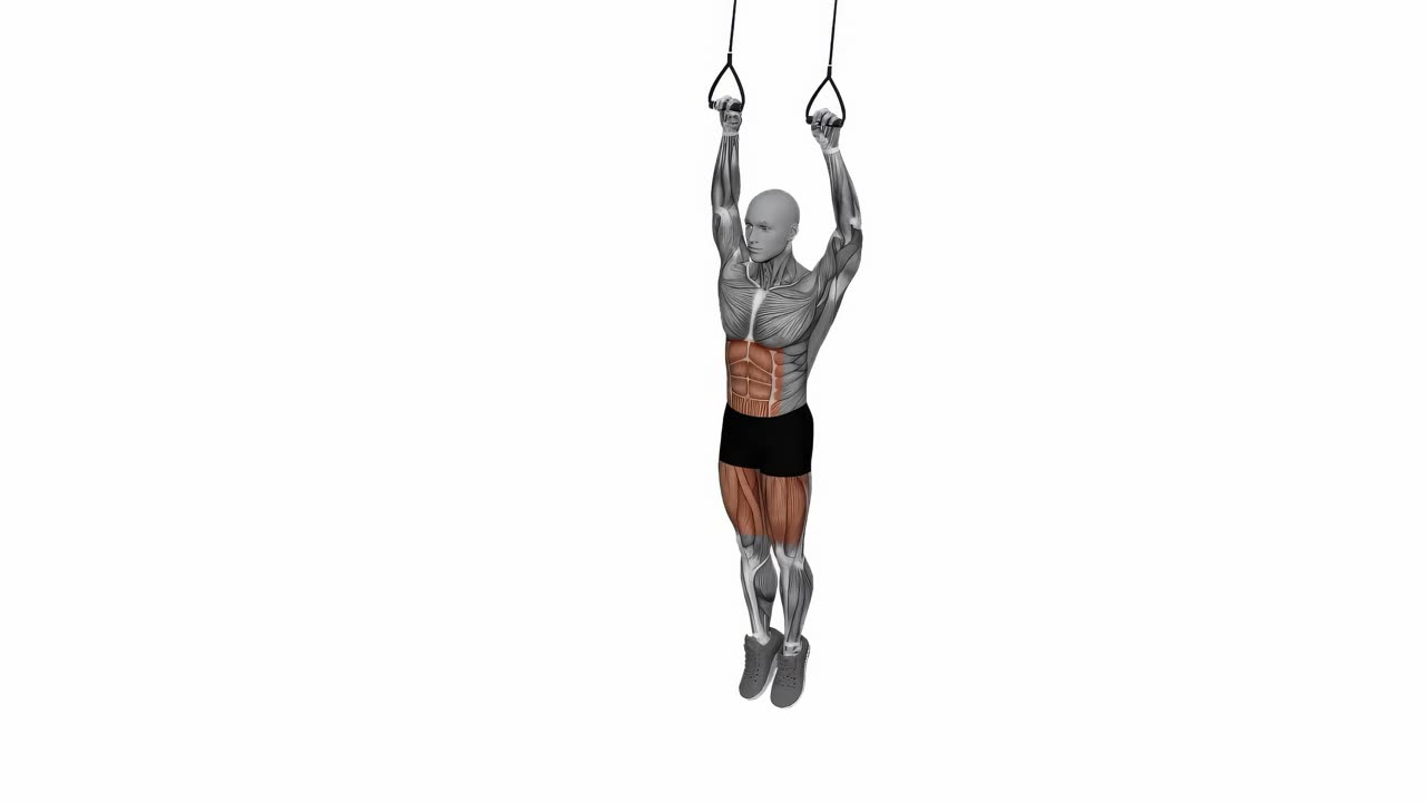 Knälyft till armbågar i TRX - startposition