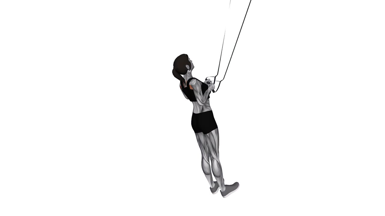 Suspension trainer högrodd - slutposition