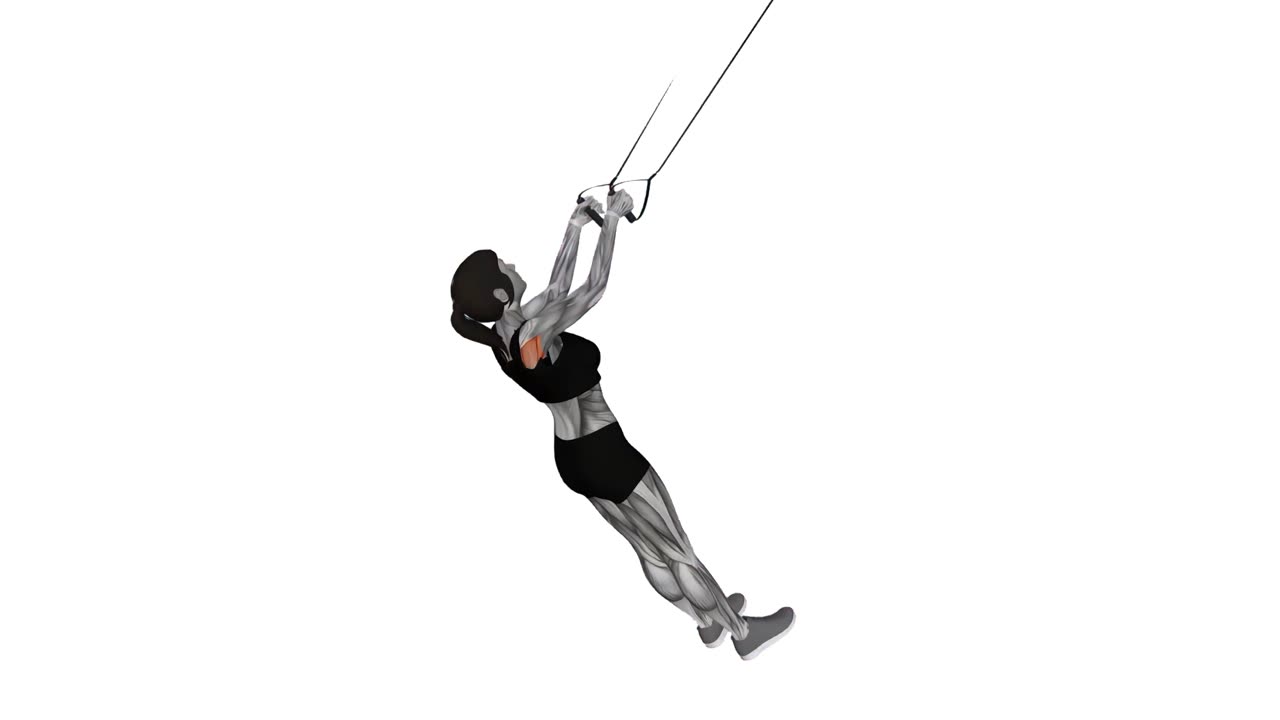 Suspension trainer högrodd - startposition
