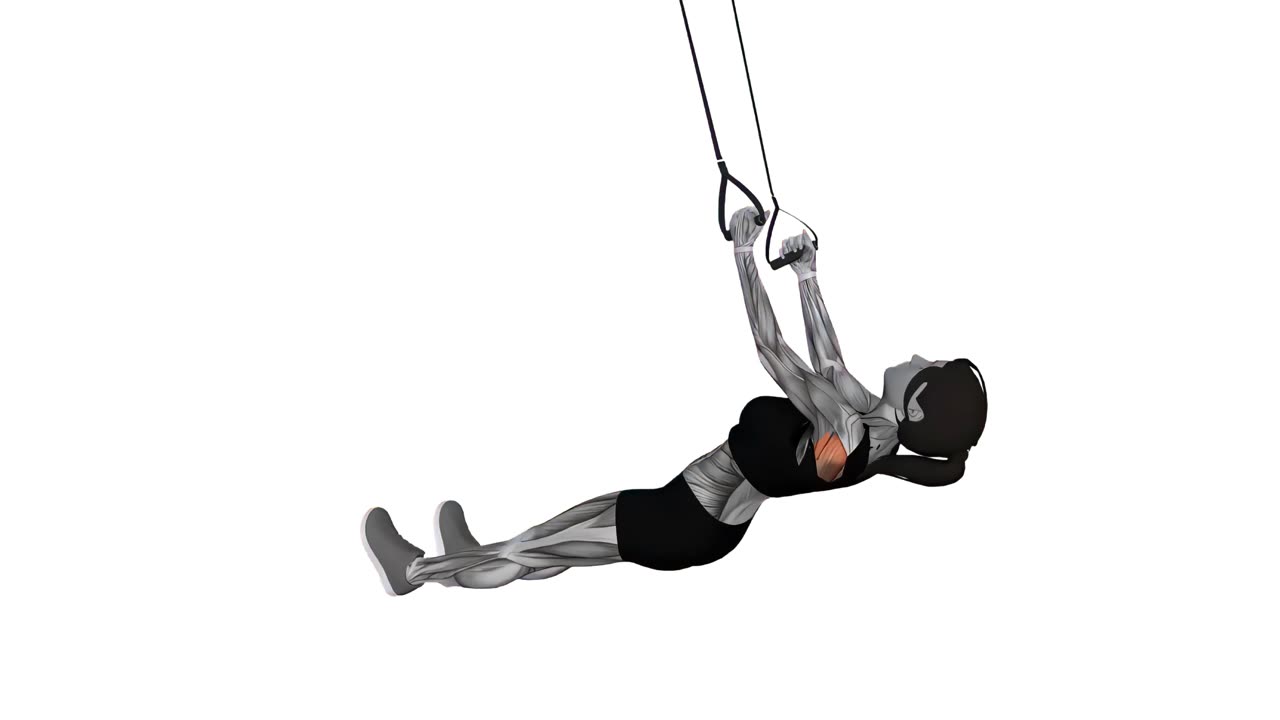 Inverterad rodd med armvridning i TRX - startposition