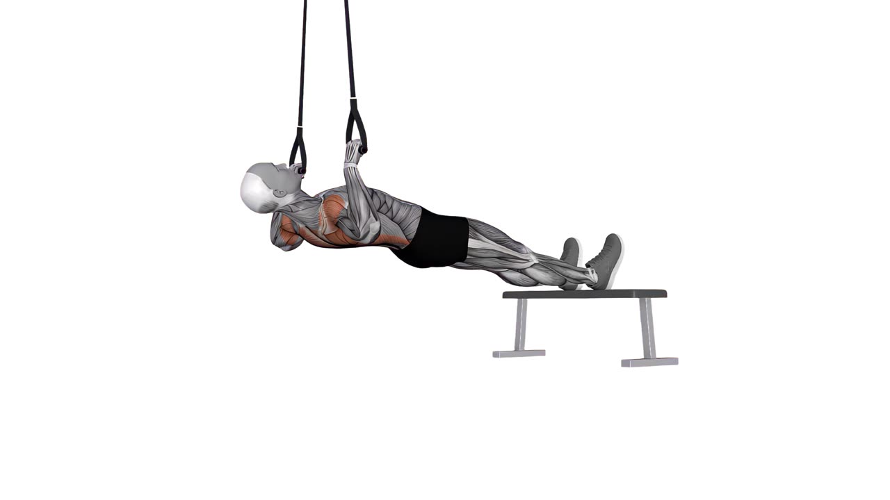 Inverterad rodd i TRX med överhandsgrepp - slutposition