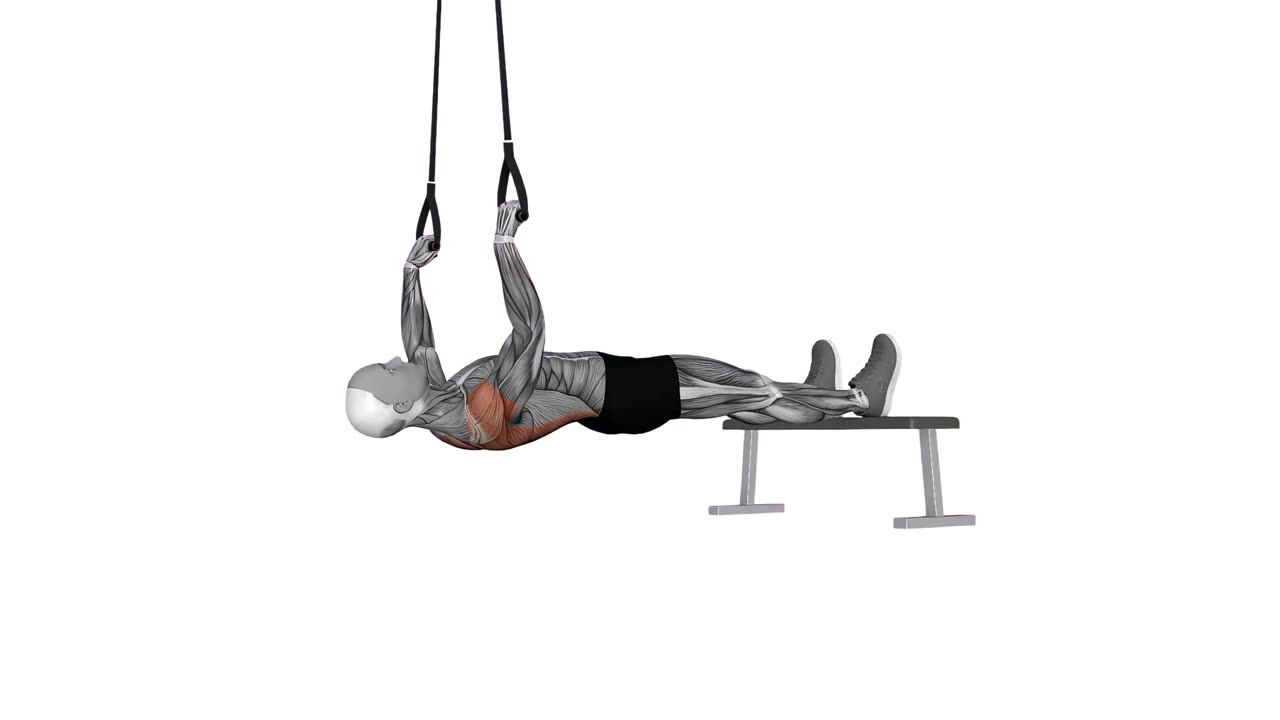 Inverterad rodd i TRX med överhandsgrepp - startposition
