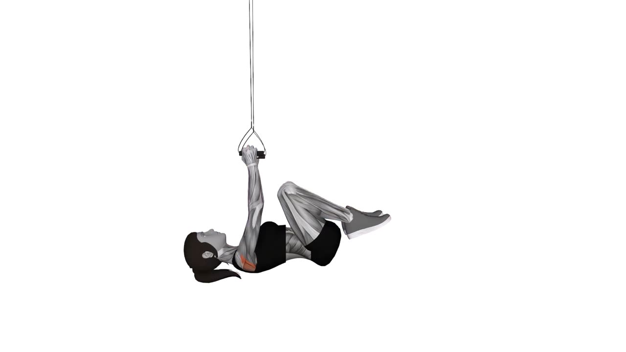 TRX rodd med knätuck - startposition