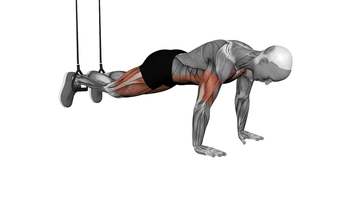 Bergsklättrare med TRX - startposition