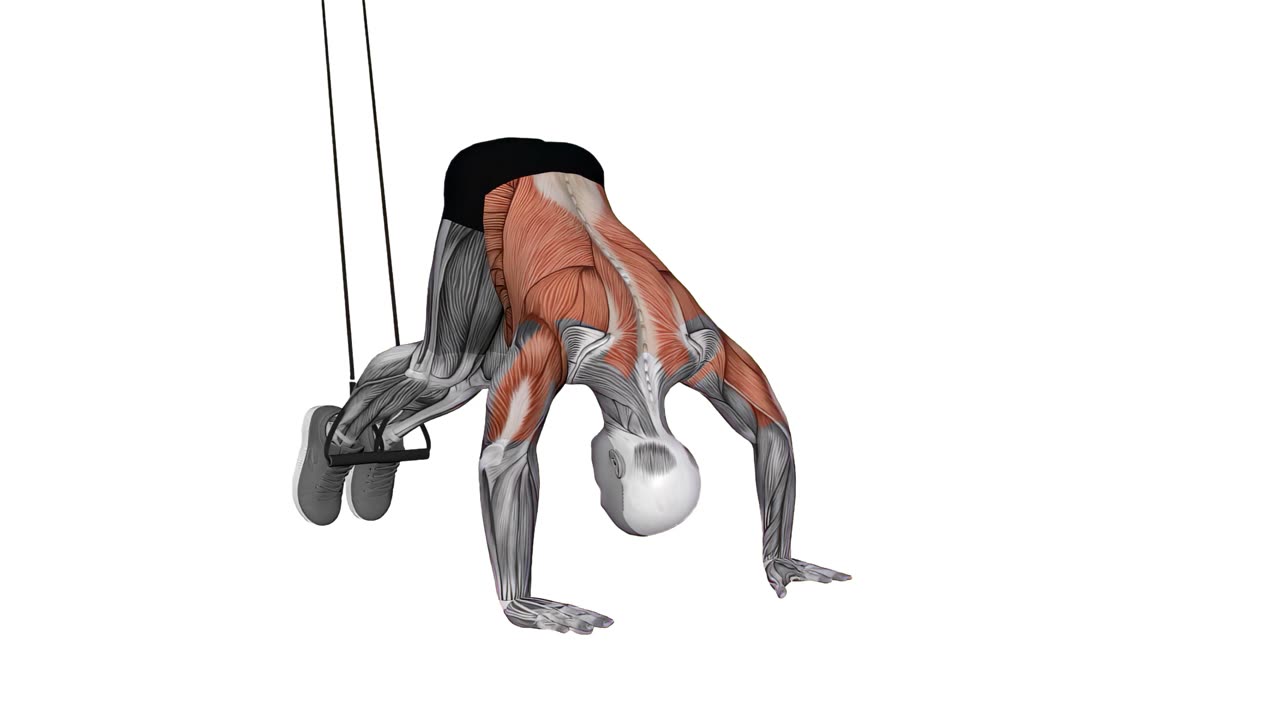 TRX pike - slutposition