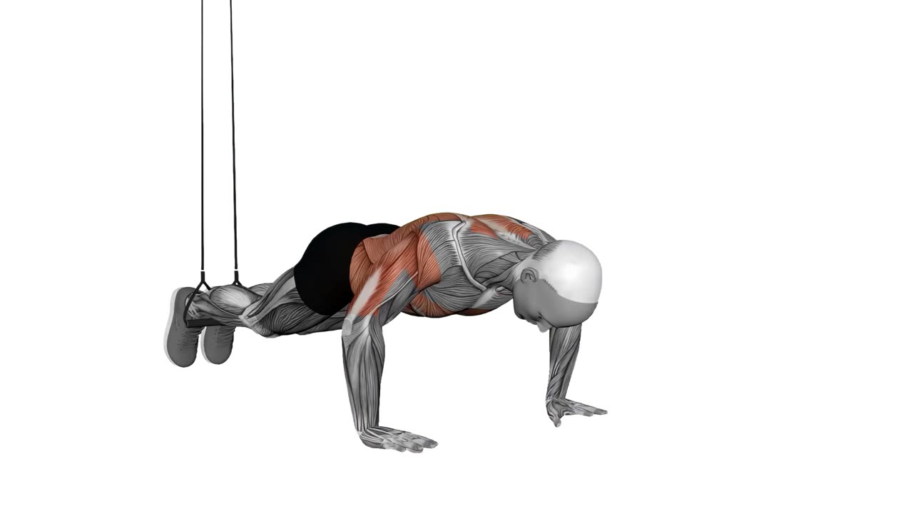 TRX pike - startposition